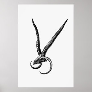 Vintage Animal Skull Poster