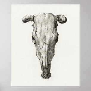 Vintage Animal Skull Poster