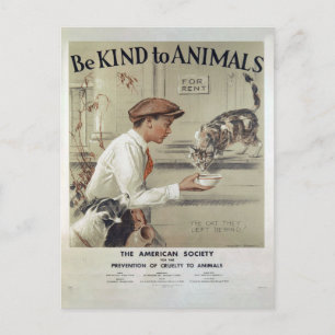 Vintage animal welfare postcard