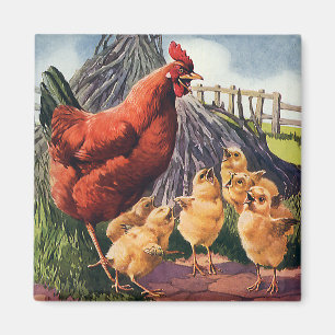 Vintage Animals, Chicken with Baby Chicks on Farm Magnet