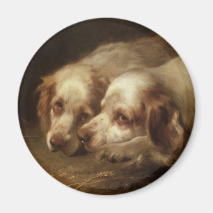 Vintage Animals, Cute Pet Spaniel Puppy Dogs Magnet