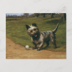 Vintage Animals Dogs, Cute Scottish Terrier Puppy Postcard