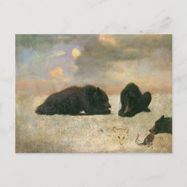 Vintage Animals, Grizzly Bears by Albert Bierstadt Postcard (Front)