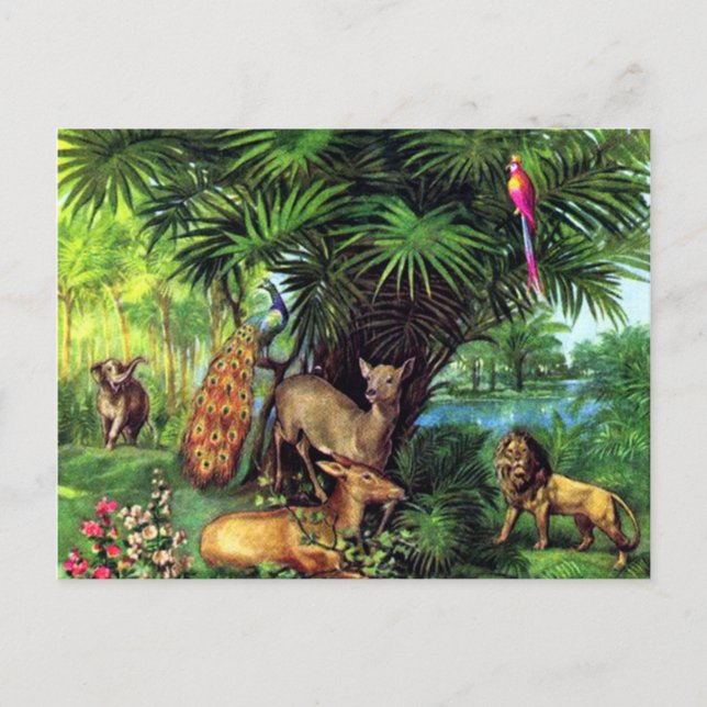 Vintage Animals Postcard (Front)