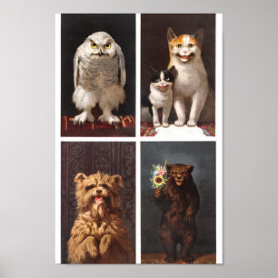 Vintage Animals Poster