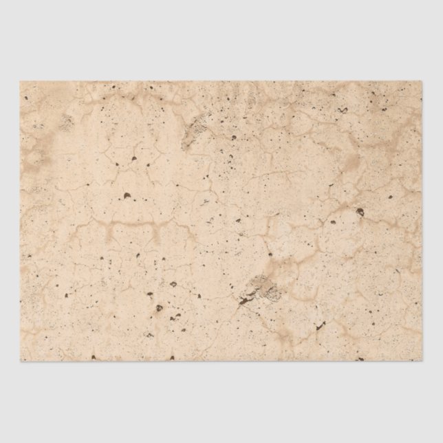 Vintage Antique Beige Country Farmhouse Grunge Tissue Paper (Front)