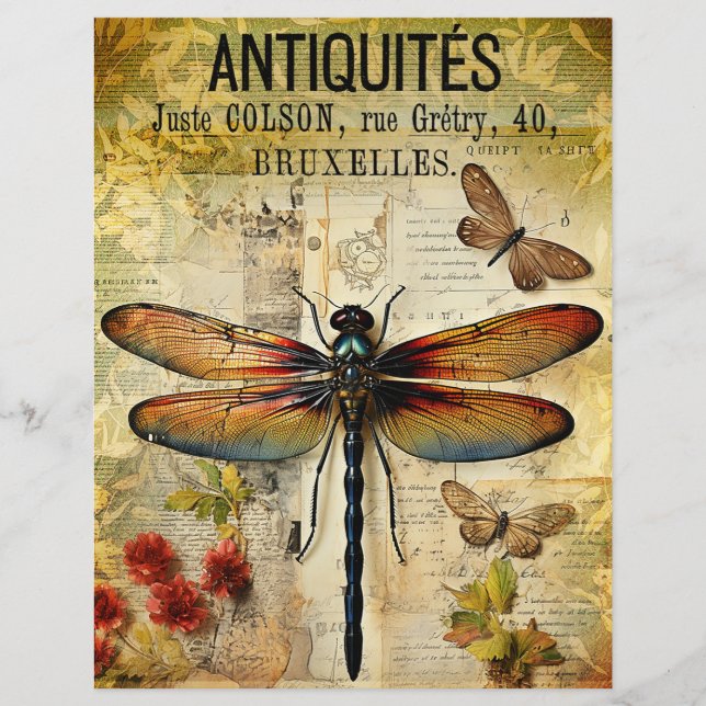 Vintage Antique Dragonfly Ephemera (Front)