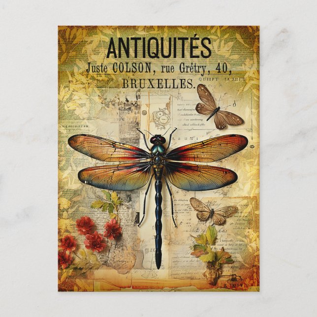 Vintage Antique Dragonfly Postcard (Front)