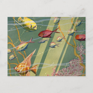 Vintage Antique Fish Undersea Ocean Sea Colourful Postcard