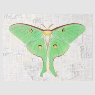 Vintage Antique Luna Moth Butterfly Decoupage Tissue Paper