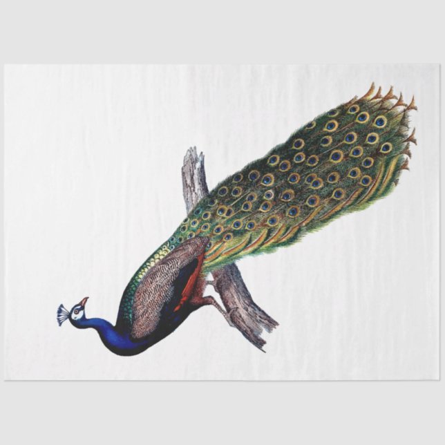 Vintage Antique Peacock Decoupage Tissue Paper (Front)