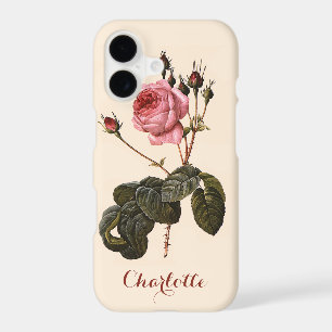 Vintage Antique Pink Garden Roses in Bloom