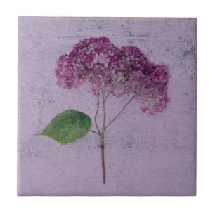Vintage Antique Purple Hydrangea Country Floral Tile
