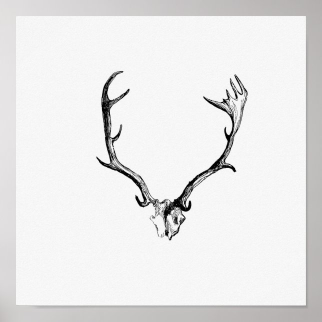 Vintage Antlers Illustration Poster (Front)