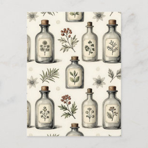 Vintage Apothecary Herb Bottles Pattern Postcard