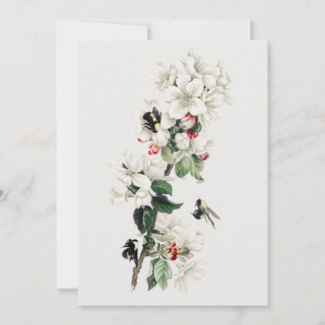 Vintage Apple Blossom Illustration Invitation (Front)