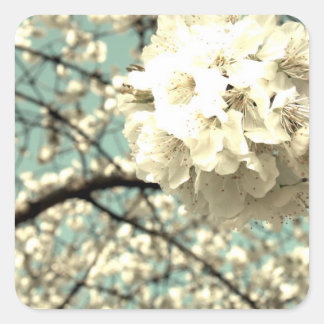 Vintage apple blossom square sticker