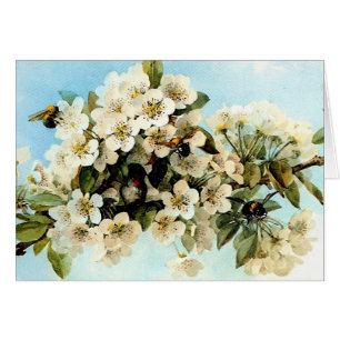 Vintage Apple Blossoms