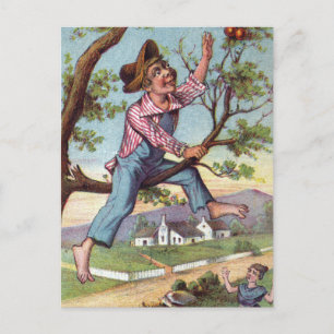 Vintage Apple Picking Postcard