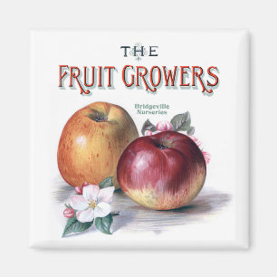 Vintage Apples with Flowers The Fruit Growers Magnet