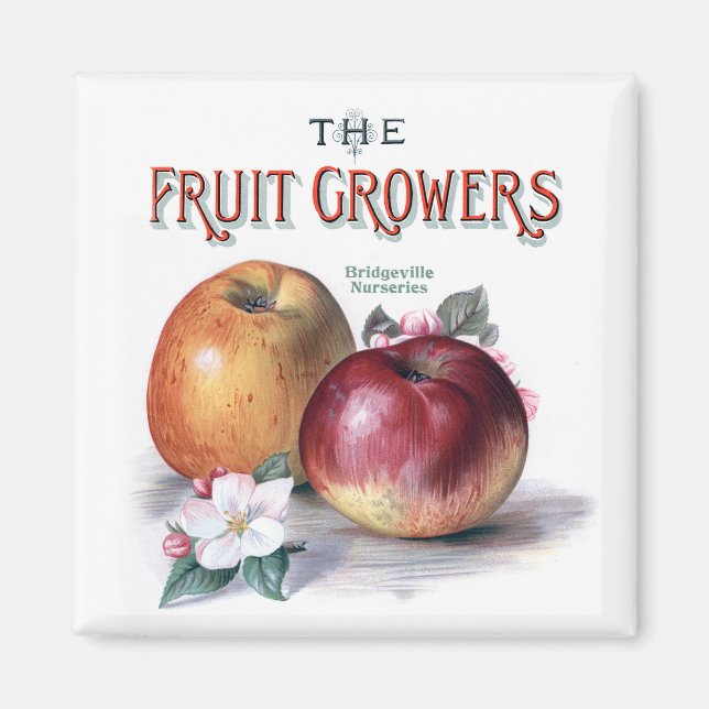 Vintage Apples with Flowers The Fruit Growers Magnet (Front)