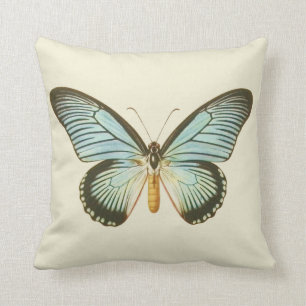Vintage Aqua Butterfly Pillow