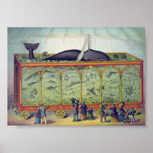 Vintage Aquarium Ad Poster