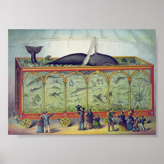 Vintage Aquarium Ad Poster (Front)