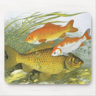 Vintage Aquatic Goldfish Koi Fish, Marine Sea Life Mouse Mat
