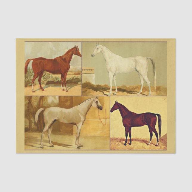 Vintage  Arabian horses - collage Tissue Paper (Front)