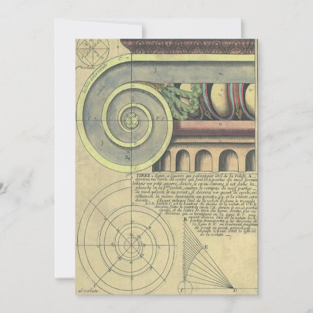 Vintage Architecture; Capital Volute by Vignola (Front)