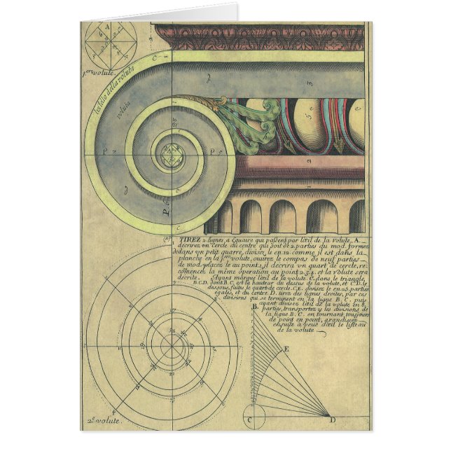 Vintage Architecture; Capital Volute by Vignola (Front)