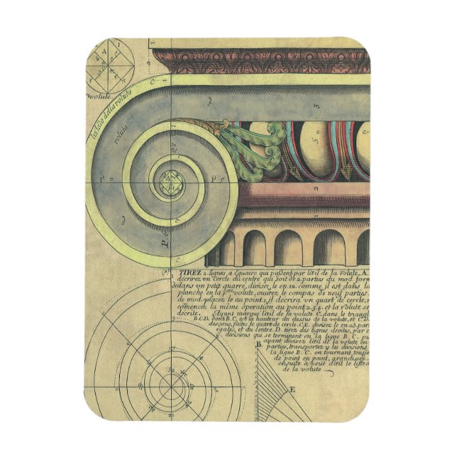 Vintage Architecture; Capital Volute by Vignola Magnet (Vertical)
