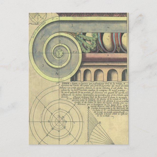 Vintage Architecture; Capital Volute by Vignola Postcard (Front)