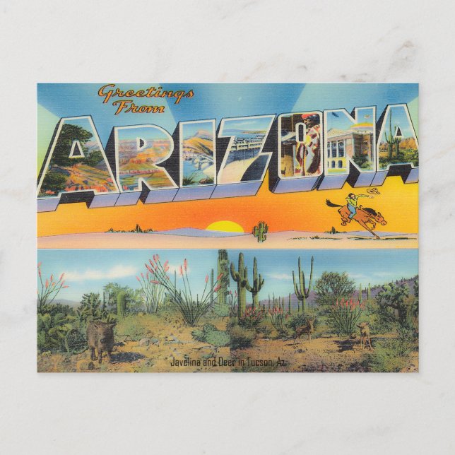 Vintage Arizona Postcard Collage (Front)