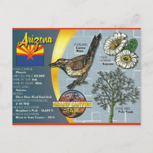 Vintage Arizona The Grand Canyon State Postcard