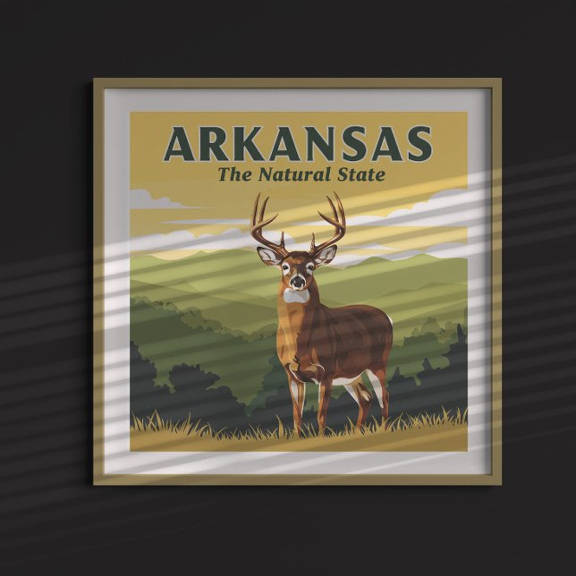 Vintage Arkansas Poster (Creator Uploaded)