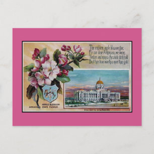 Vintage Arkansas State flower, poem Postcard