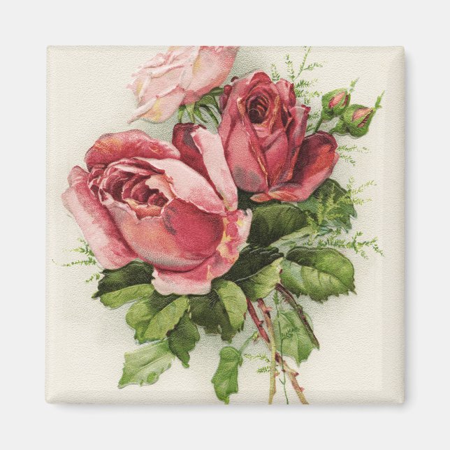 Vintage Art Antique Roses Magnet (Front)