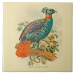 Vintage Art Birds Colourful Pheasant Illustration Tile<br><div class="desc">This beautiful vintage lithograph style illustration features a "Chamba Moonal Pheasant" perched on a branch in vivid shades of green, blue and orange on an off white background. Perfect for bird lovers.</div>