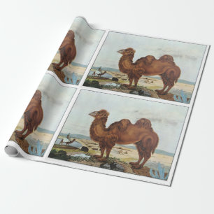 Vintage art camel wrapping paper