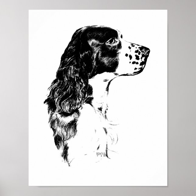 Vintage Art English Springer Spaniel  Poster (Front)