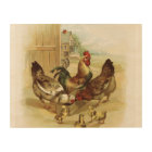 Vintage Art Farm Chickens