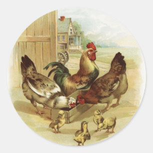 Vintage Art Farm Chickens Classic Round Sticker