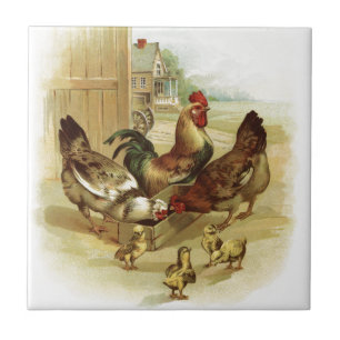 Vintage Art Farm Chickens Tile