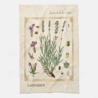 Vintage Art Herbal Lavender Flower Botanical Tea Towel