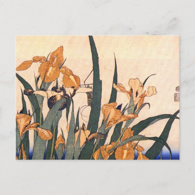 Vintage Art Japanese Iris Flower Postcard (Front)