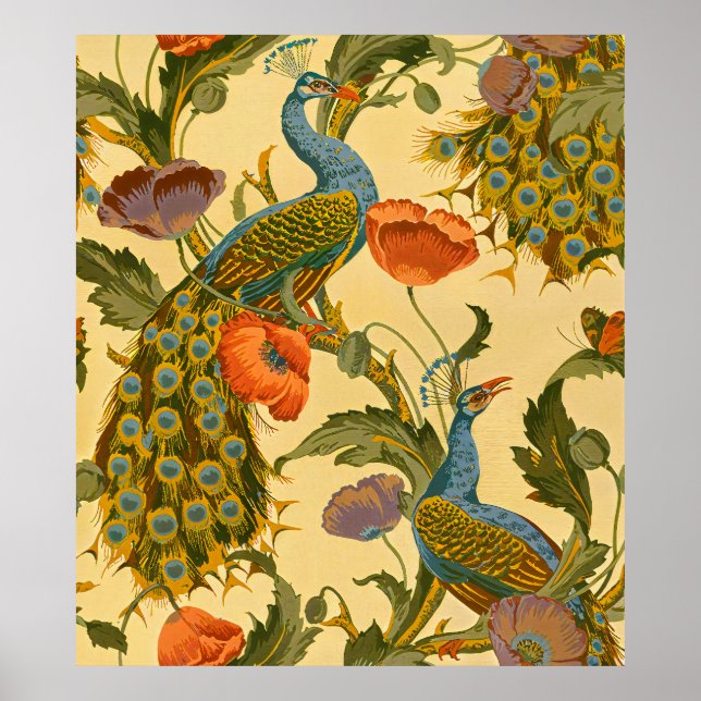 Vintage Art Nouveau 1896 The Peacock Pattern Poster (Front)