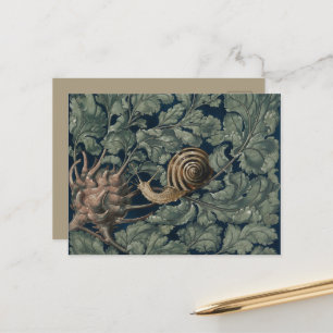 Vintage Art Nouveau Botanical Snail Antique Postcard