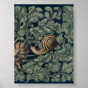 Vintage Art Nouveau Botanical Snail Antique Poster
